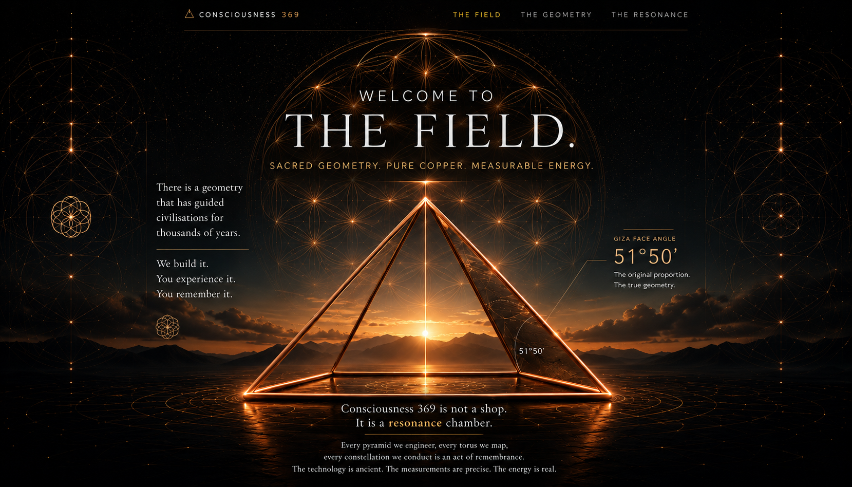 Welcome to The Field — Consciousness 369